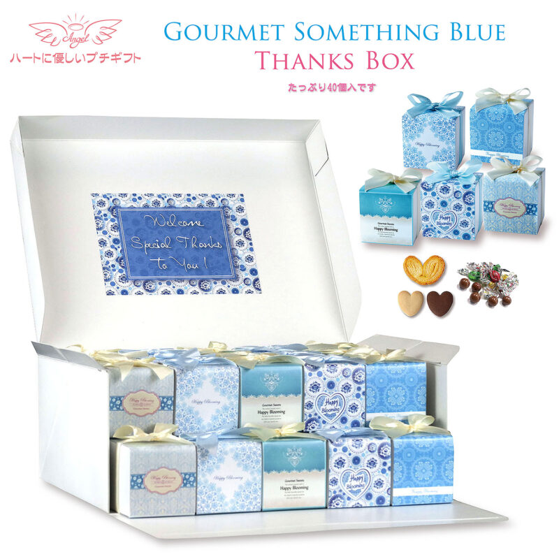 グルメ サムシングブルーBox / スタンダードプレート