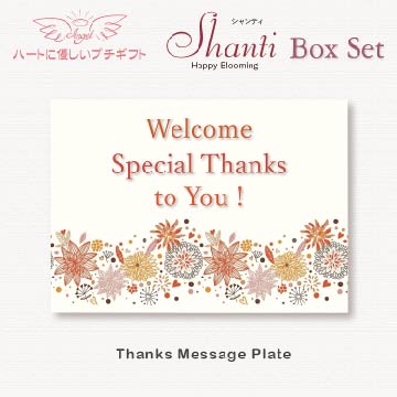 シャンティ Box/スタンダードプレート