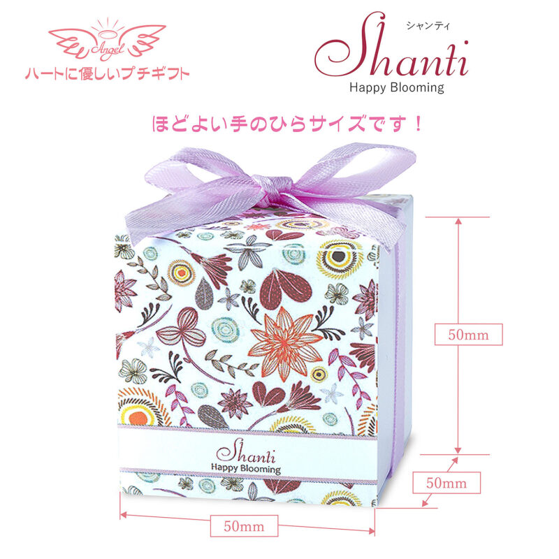 シャンティ Box/スタンダードプレート