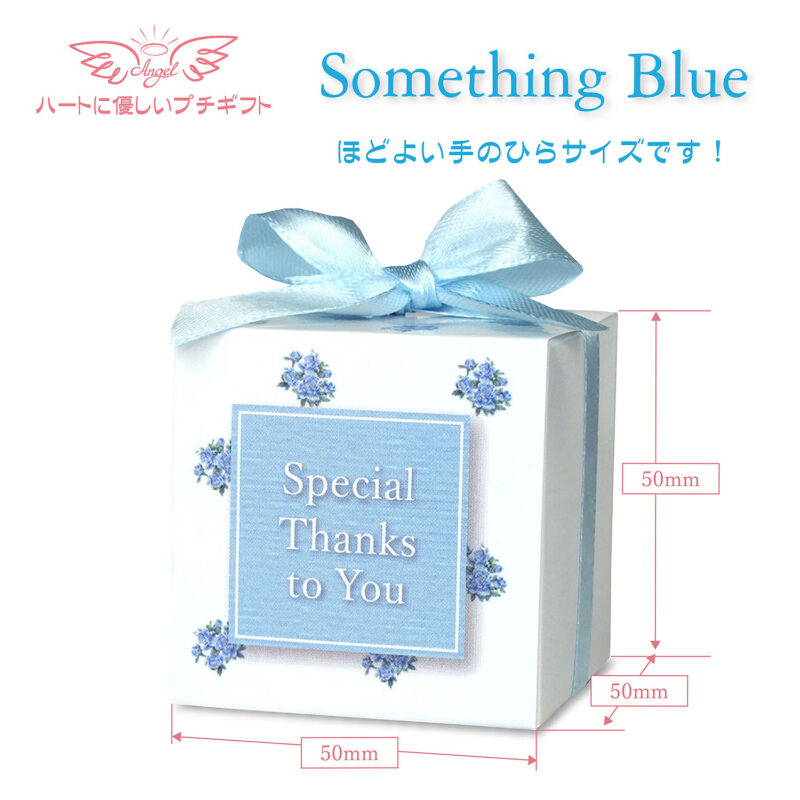 サムシングブルーBox / スタンダードプレート